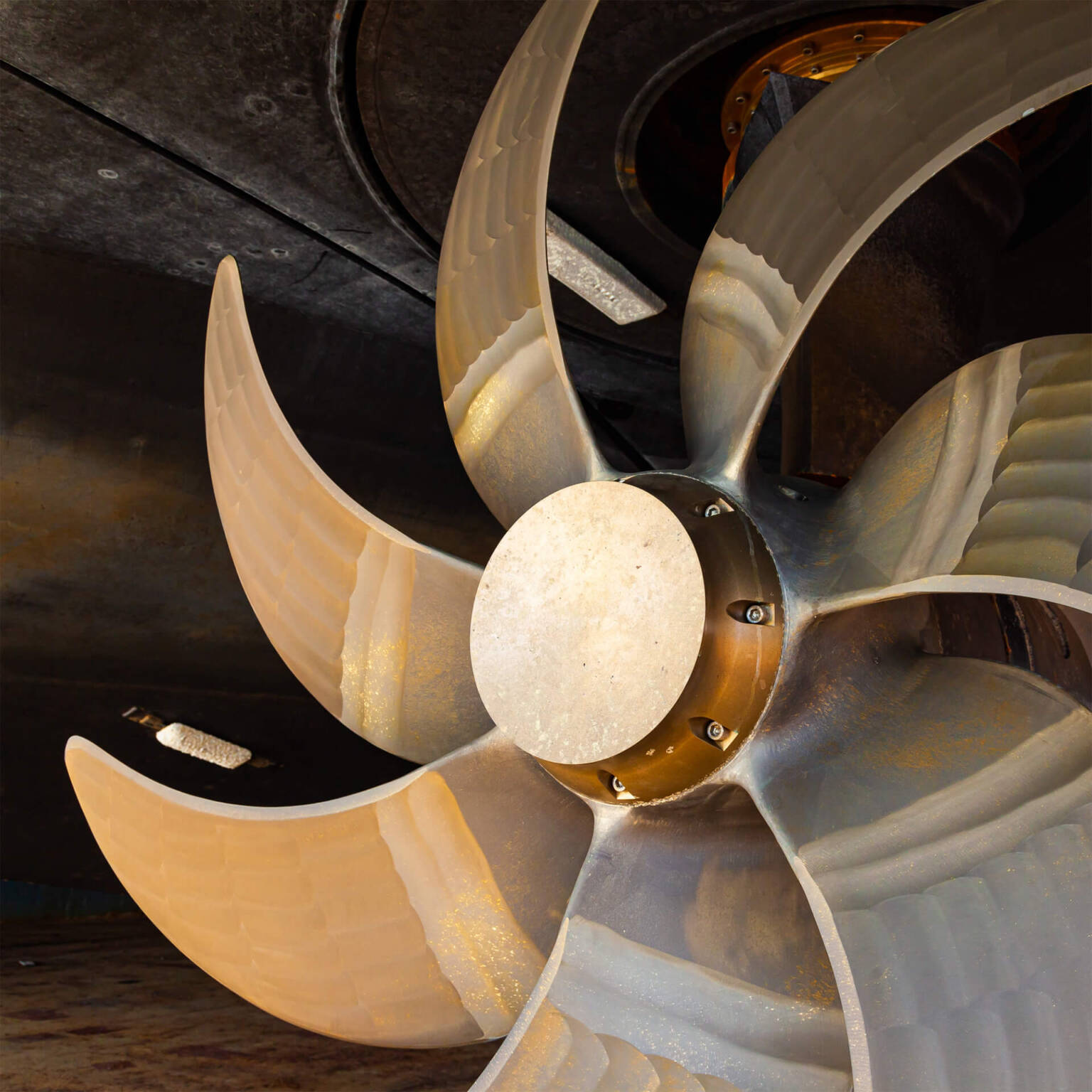 image-38-copyright-1536x1536